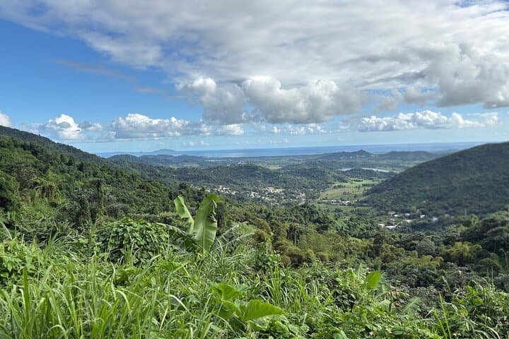 Private El Yunque Adventure: El Toro Trail, Hidden Waterfalls & River Jump photo 3