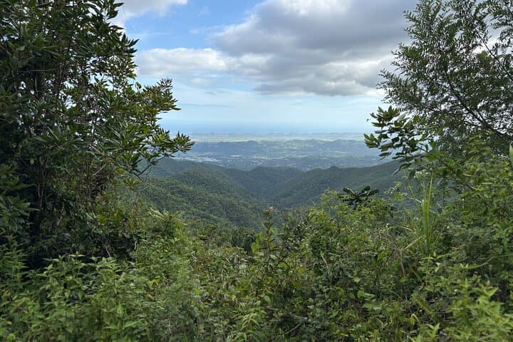 Private El Yunque Adventure: El Toro Trail, Hidden Waterfalls & River Jump photo 4