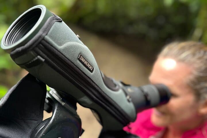 Monteverde Cloud Forest Birding Tour — Quetzals, Hummingbirds & Free Binoculars photo 4