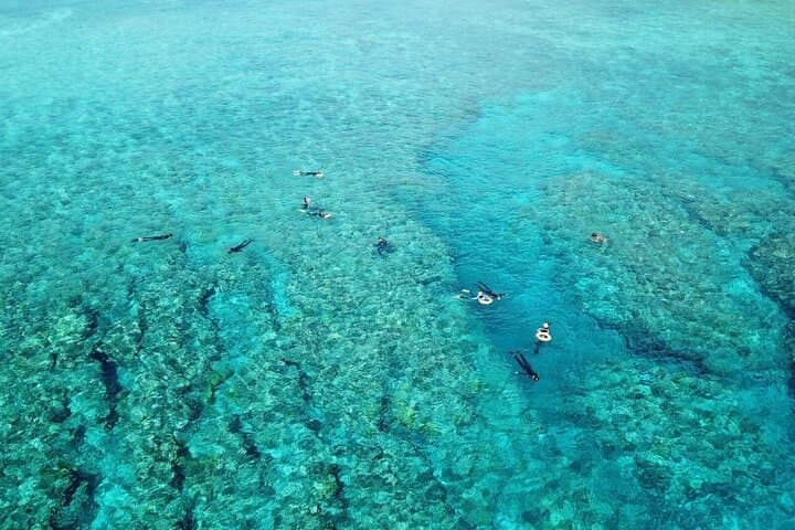 Kerama Snorkeling Day Trip from Naha or Chatan — Explore Kerama National Park photo 4