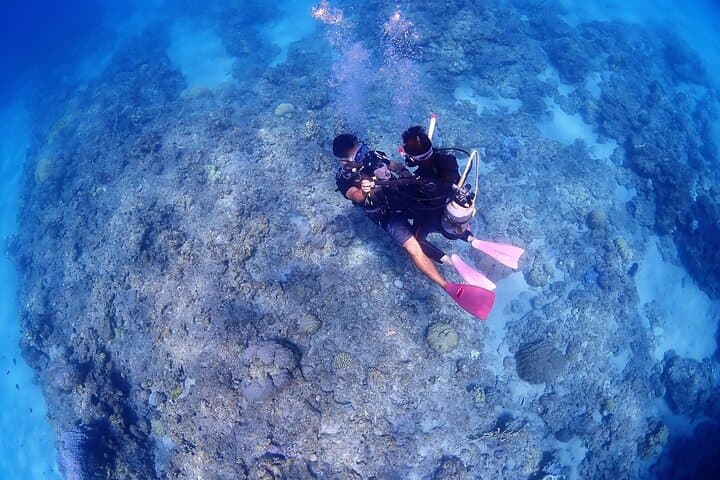Kerama Snorkeling Day Trip from Naha or Chatan — Explore Kerama National Park