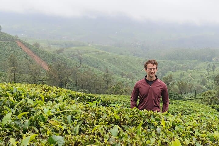 Enchanting Kerala Tea Estate, Spice Plantation & Backwater Tour photo 6