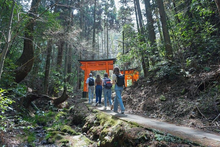Hidden Trails at Fushimi Inari: Private Early-Morning Hike beneath the Thousand Torii photo 2