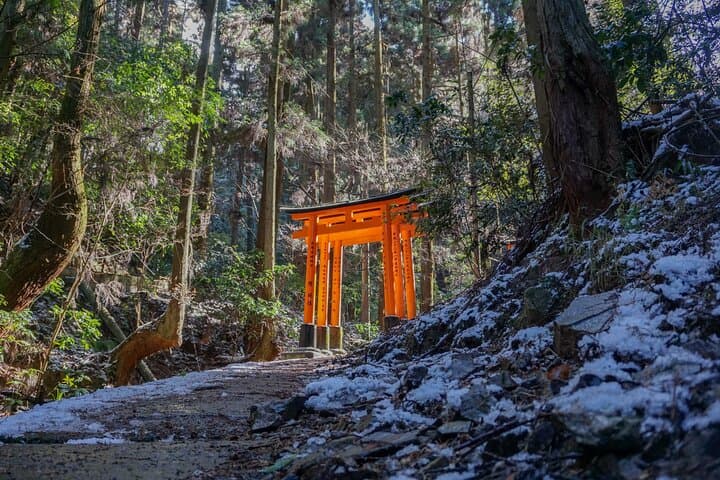 Hidden Trails at Fushimi Inari: Private Early-Morning Hike beneath the Thousand Torii