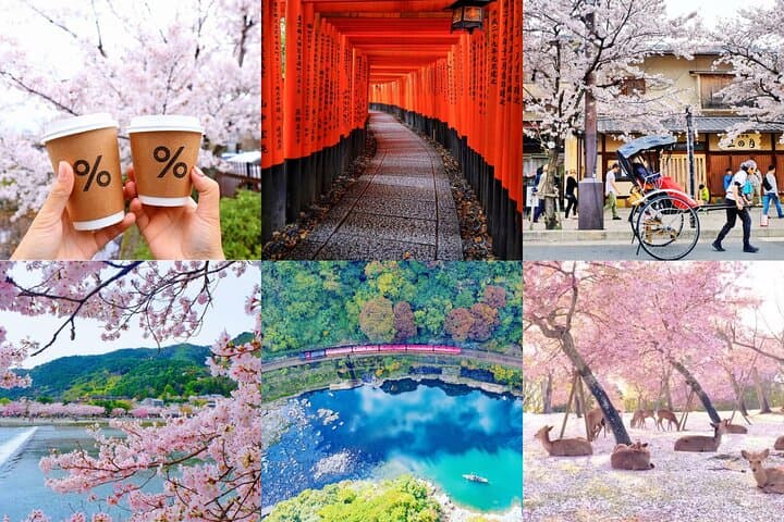 Private Kyoto & Nara Day Tour — Temples, Deer, and Local Insights
