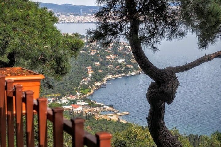 Princes' Islands Escape: Kinaliada & Büyükada Self-Guided Ferry Day Trip photo 4