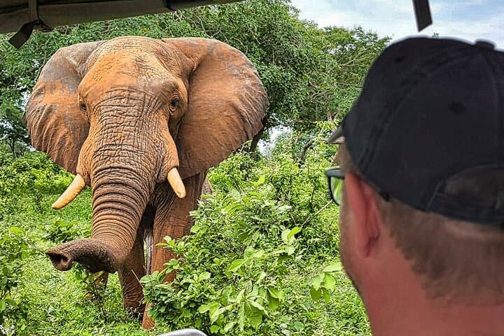 One Day, Two Worlds: Chobe Land-and-River Safari from Victoria Falls photo 6