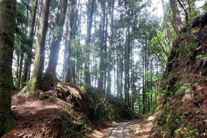 Te Fu Ye Historical Walking Trail: Day Hike from Kaohsiung to Chiayi's Heritage Path photo 3