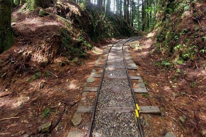 Te Fu Ye Historical Walking Trail: Day Hike from Kaohsiung to Chiayi's Heritage Path photo 2