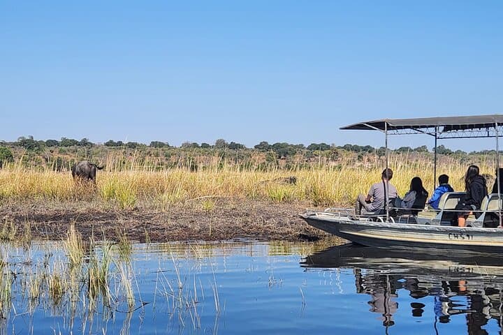Chobe Sunrise River Safari: First-Light Wildlife Cruise from Kasane photo 6