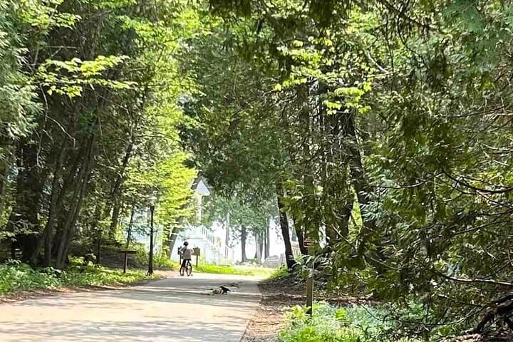 Elegant East Bluff: Self-Guided Audio Walk on Mackinac Island photo 4