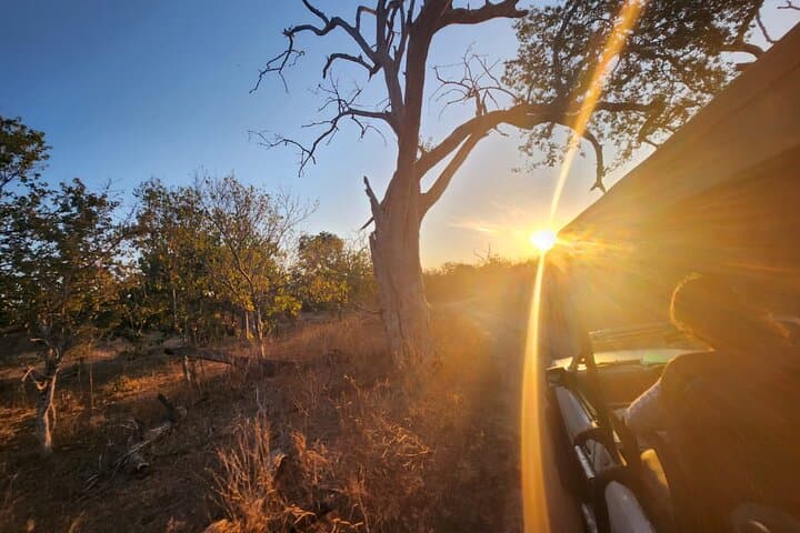 Full Chobe Experience: Sunrise Safari & Sunset River Cruise from Livingstone photo 5