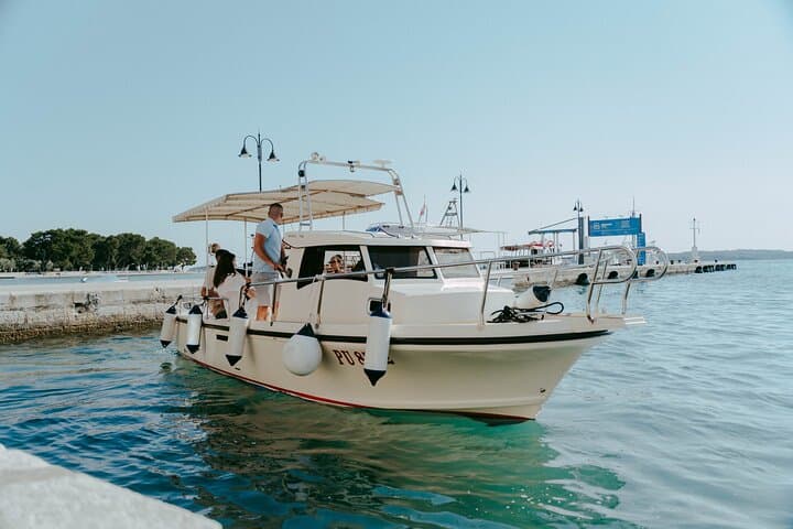 Pula Dolphin & Sunset Boat Tour — Brijuni Cruise from Pula Harbor photo 2