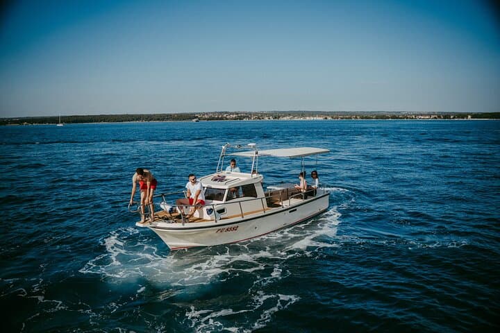 Pula Dolphin & Sunset Boat Tour — Brijuni Cruise from Pula Harbor photo 3