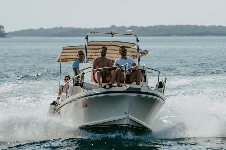 Pula Dolphin & Sunset Boat Tour — Brijuni Cruise from Pula Harbor photo 5