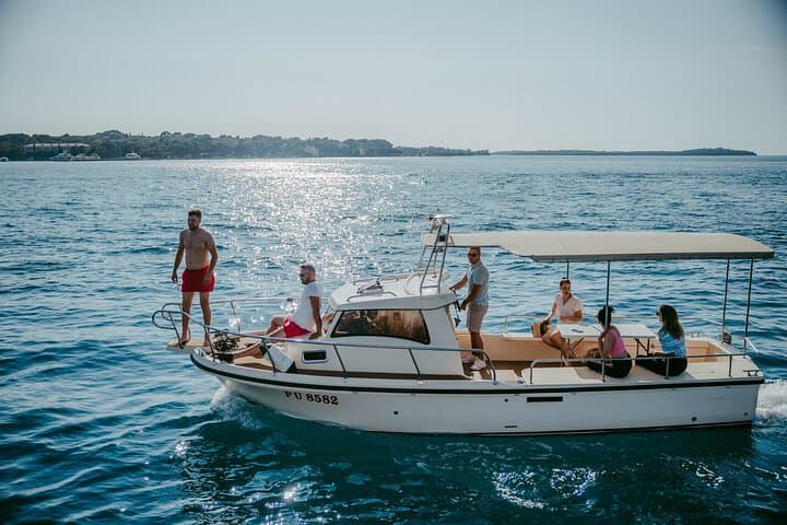 Pula Dolphin & Sunset Boat Tour — Brijuni Cruise from Pula Harbor photo 6