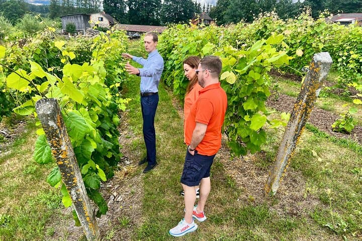 Day Trip to Kuldīga: Europe's Widest Waterfall and Local Wineries from Riga photo 4