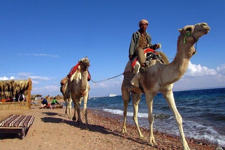 Full-Day Dahab Adventure: Three Pools, Colored Canyon & Camel Ride from Sharm El Sheikh