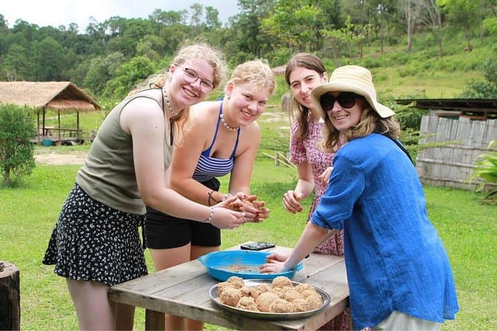 Big Boy Elephant Sanctuary Half-Day: Ethical Elephant Experience & Pad Thai Class Near Chiang Mai photo 3
