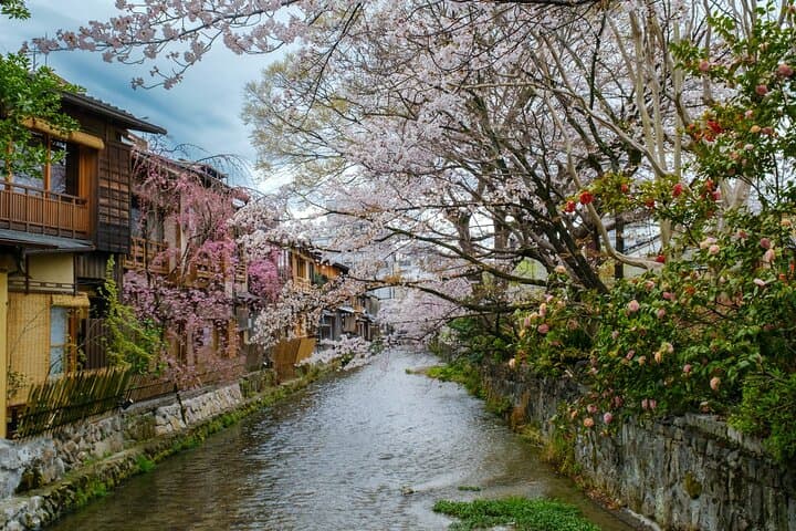 Private Customized Kyoto Tour: Full-Day English Guide & Hotel Pickup photo 5