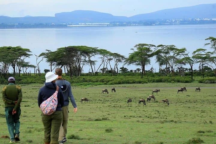 Lake Naivasha Boat Ride & Crescent Island Walk — Day Trip from Nairobi photo 4