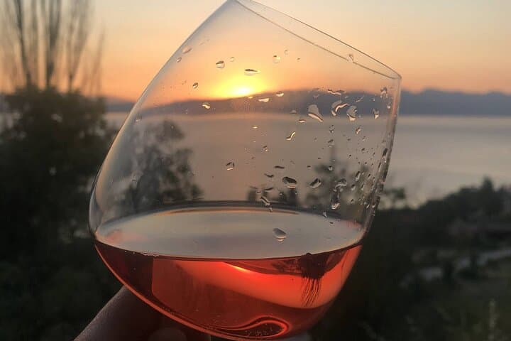 Sunset Wine Tasting on Lake Ohrid: Vik’s Small-Group Macedonian Wine & Barbecue Experience