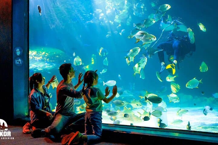 Siem Reap Nature Escape: Flower Garden, Aquarium & Angkor Eye Observation Wheel photo 2