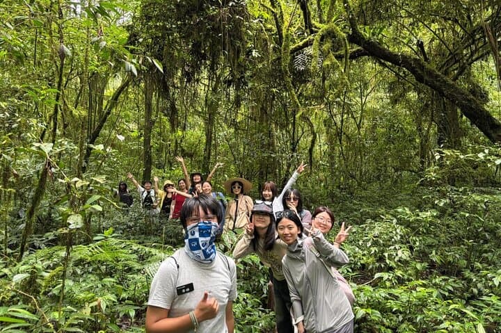 Munduk Twin Lakes Trek and Canoe: Buyan and Tamblingan Rainforest Walk photo 1