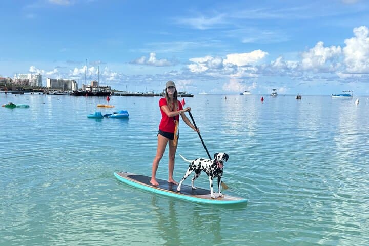 Private Aruba Stand Up Paddleboard Experience — 90-Minute Coastal SUP in Oranjestad