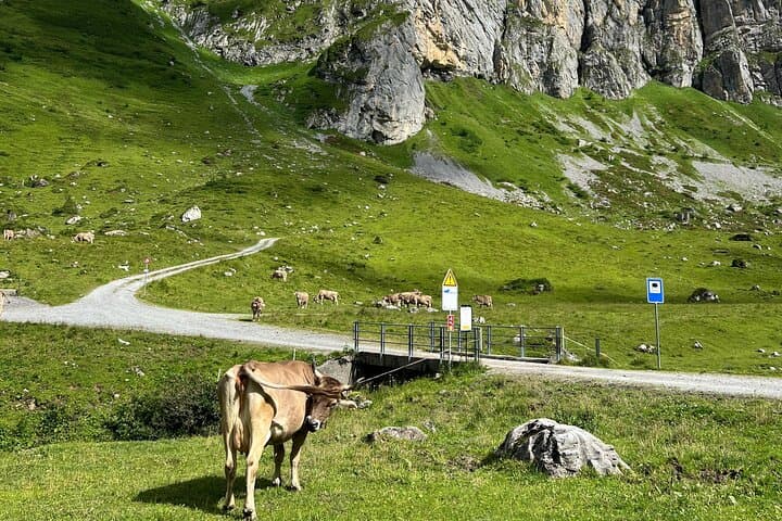 Private Hidden Switzerland Day Tour from Zurich: Waterfalls, Klausenpass & Chocolate photo 1