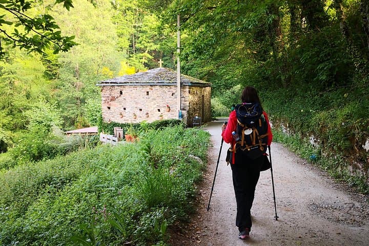 Walk the French Way: O Cebreiro to Santiago de Compostela Pilgrimage photo 1