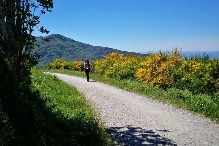 Walk the French Way: O Cebreiro to Santiago de Compostela Pilgrimage photo 3
