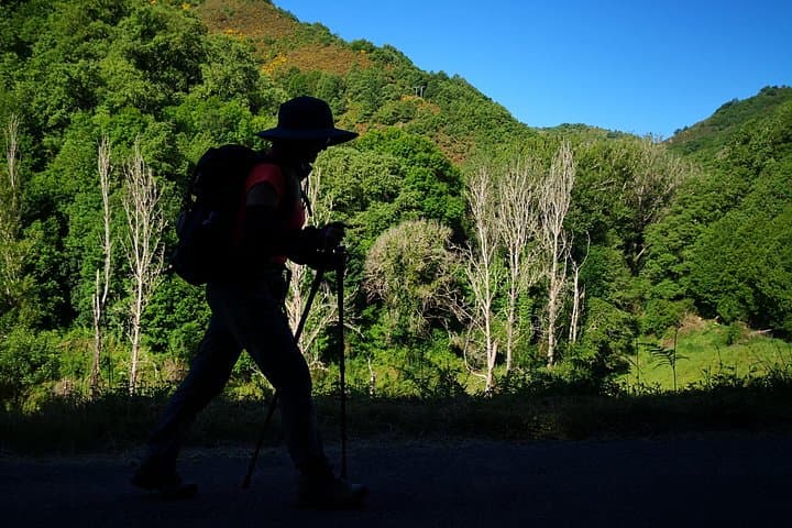 Camino de Santiago: French Way from León to Santiago — Complete 14–15 Day Pilgrimage Guide photo 2