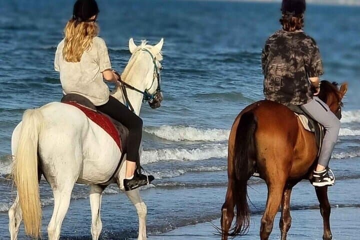 Sharm El-Sheikh Desert & Seaside Horse Ride — 2-Hour Sinai Beach Trail photo 2