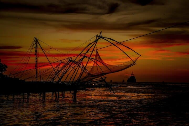 Cochin to Madurai: Backwaters, Tea Estates & Temple Tour (8-Day)