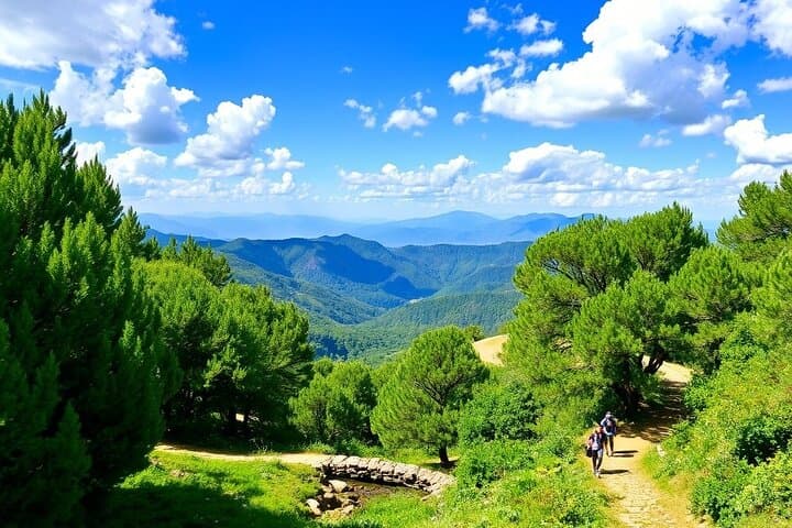 Trekking Tunisia: Ain Draham Forest, Tabarka Coast and Dougga Ruins photo 4