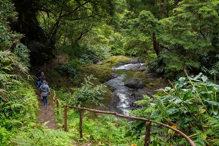 Chasing Waterfalls in the Azores: São Miguel Day Hike to Six Falls photo 4