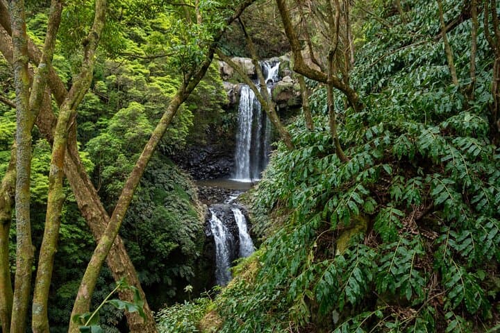 Chasing Waterfalls in the Azores: São Miguel Day Hike to Six Falls photo 2