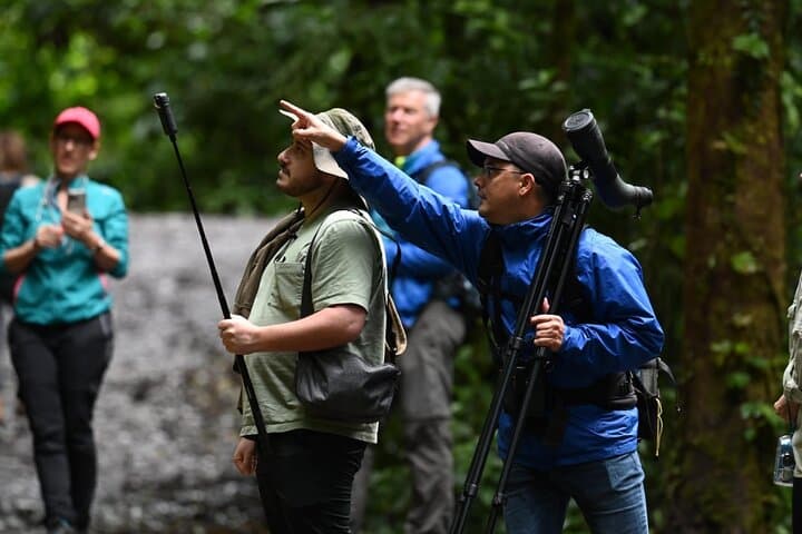 Monteverde Cloud Forest Guided Walk — Discover Costa Rica’s Living Canopy photo 4