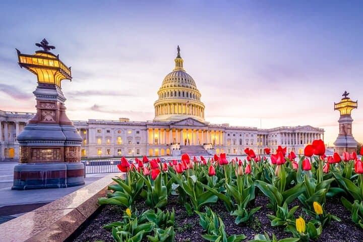 Walk the Set: Iconic Film Locations Half-Day Tour of Washington, D.C.