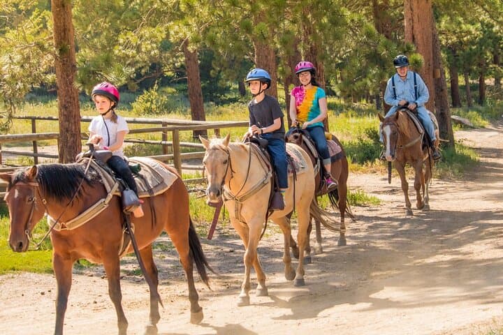 Kemer Horseback Riding: 1-Hour Pine Forest Safari with Hotel Transfer