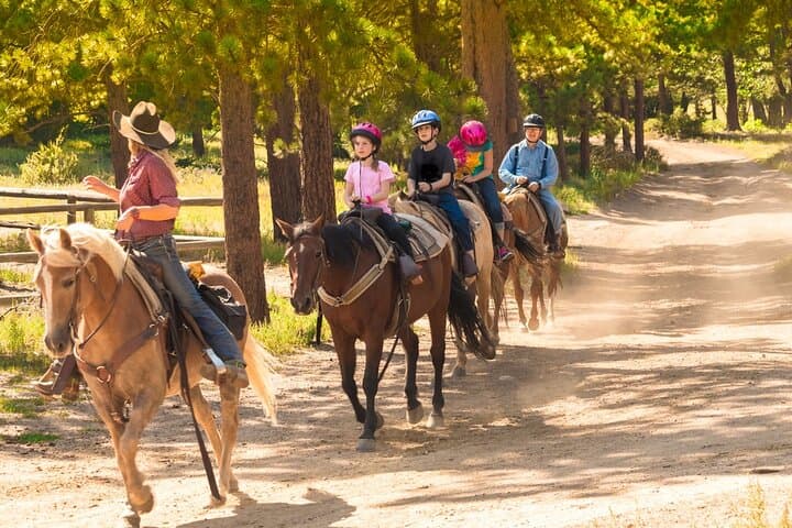 Kemer Horseback Riding: 1-Hour Pine Forest Safari with Hotel Transfer photo 2