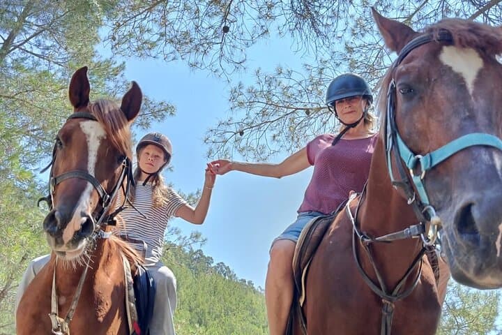 Kemer Horseback Riding: 1-Hour Pine Forest Safari with Hotel Transfer photo 6