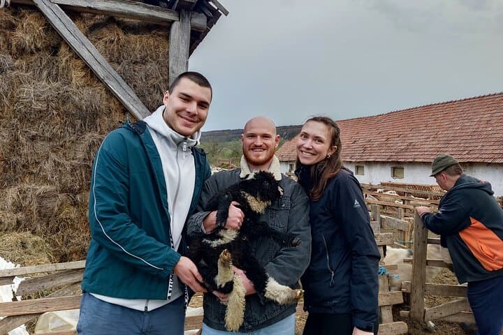 Full-Day Sibiu Tour: Fortified Churches, Farm Life & Horse-Drawn Carriage Experience