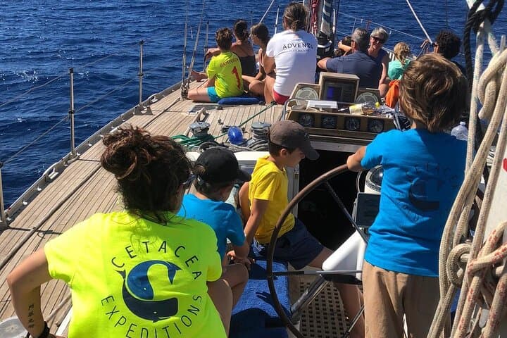Sunset Sail and Snorkel off Vulcano: Aperitif on Board in the Aeolian Islands photo 4