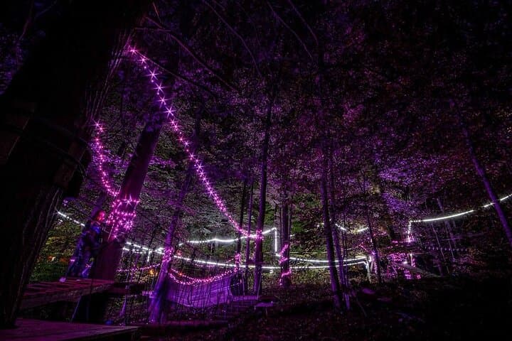 MoonTrek Nighttime Aerial Adventure: Forest Zipline Obstacle Course Under the Stars