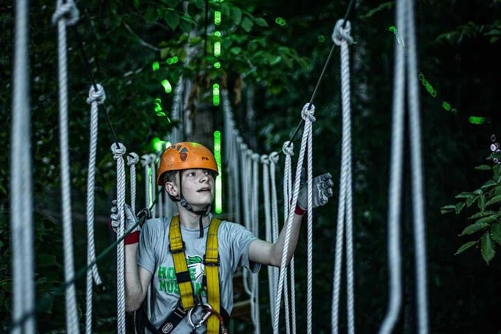 MoonTrek Nighttime Aerial Adventure: Forest Zipline Obstacle Course Under the Stars photo 3