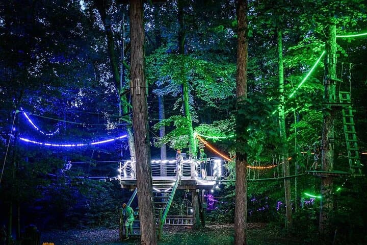 MoonTrek Nighttime Aerial Adventure: Forest Zipline Obstacle Course Under the Stars photo 4