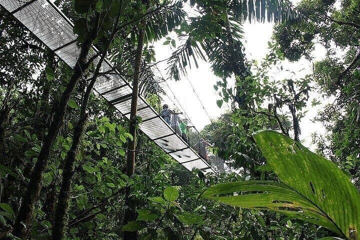 Arenal Canopy Canyons, Hot Springs & Lunch — Full-Day Mistico Park Adventure photo 4
