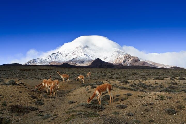 Seven-Day Ecuador: Quito, Amazon Lodge, Devil’s Nose Train, Quilotoa & Cotopaxi photo 3